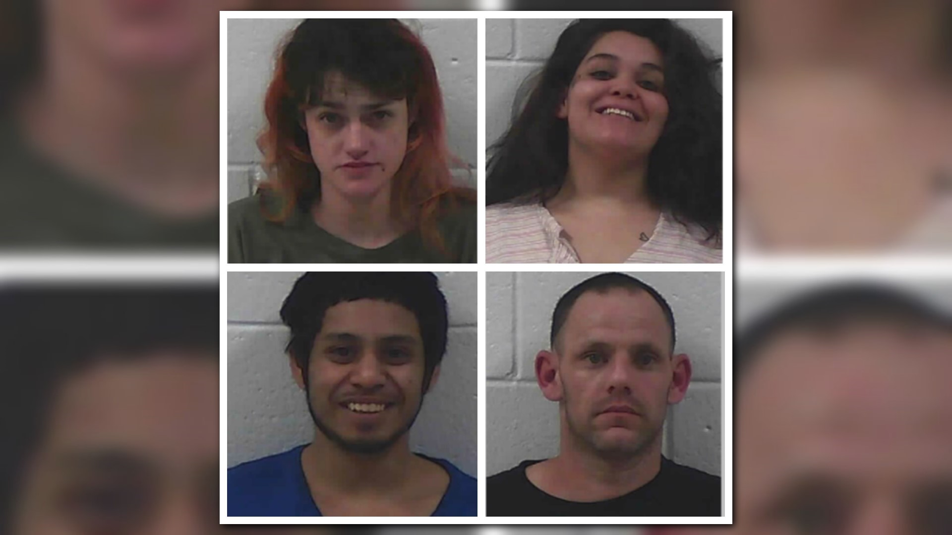 Four busted in Jackson County on drug, charges